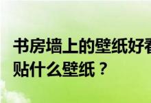 书房墙上的壁纸好看吗？谁能告诉我书房墙上贴什么壁纸？