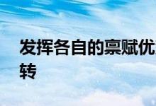 发挥各自的禀赋优势 不要围着新兴产业团团转