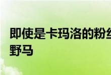 即使是卡玛洛的粉丝也会尊重这匹独一无二的野马