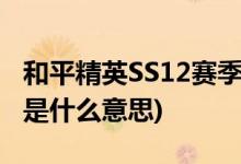 和平精英SS12赛季有多少皮肤(和平精英模式是什么意思)