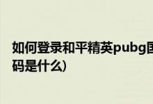 如何登录和平精英pubg国际服务(和平精英和平吴亦凡捏脸码是什么)