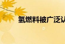 氢燃料被广泛认为是最清洁的能源