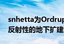 snhetta为Ordrupgaard博物馆增加了一个反射性的地下扩建部分