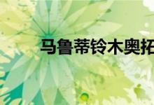 马鲁蒂铃木奥拓CNG起价4.10卢比