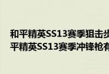 和平精英SS13赛季狙击步枪有哪些推荐技能和配套配件(和平精英SS13赛季冲锋枪有哪些推荐技能和配套配件)