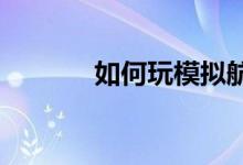 如何玩模拟航空公司商业游戏