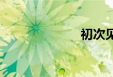初次见面的游戏