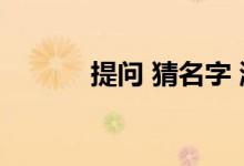 提问 猜名字 游戏规则怎么玩？
