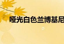哑光白色兰博基尼Centenario抵达巴黎