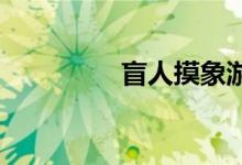 盲人摸象游戏的有趣规则