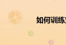如何训练宝宝自己吃饭