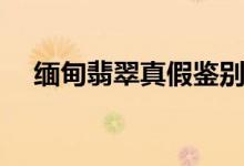 缅甸翡翠真假鉴别（四个等级各个击破）