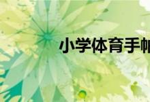 小学体育手帕游戏教案及规则