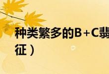 种类繁多的B+C翡翠（处理方法以及鉴别特征）