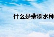 什么是翡翠水种（翡翠水种的分类）