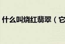 什么叫烧红翡翠（它与天然翡翠有什么区别）