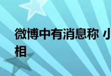 微博中有消息称 小米11T系列全球版即将亮相