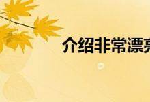 介绍非常漂亮的创世纪x概念