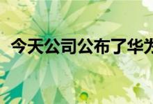 今天公司公布了华为P50系列官方定制主题