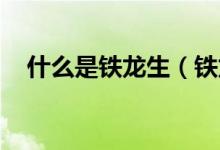 什么是铁龙生（铁龙生是翡翠吗 （一））
