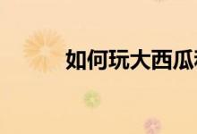 如何玩大西瓜和小西瓜游戏教案