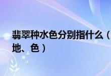 翡翠种水色分别指什么（翡翠基础知识：什么是翡翠的种、地、色）