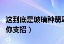 这到底是玻璃种翡翠还是冰种翡翠啊（专家为你支招）