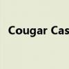 Cougar Case QBX这么小的包装有好处吗