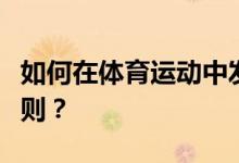 如何在体育运动中发挥抓龙尾的教案和游戏规则？