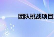 团队挑战项目双人合作巨梯体验