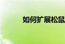 如何扩展松鼠和树游戏的规则？