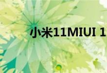 小米11MIUI 12.4开发版开启内测