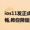 ios11发正式版!ios11升级后有bug运行不流畅,教你降级到ios10.3.3
