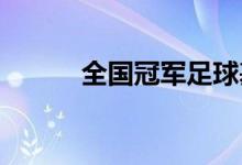全国冠军足球基本操作方法介绍
