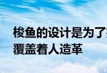 梭鱼的设计是为了完全盖住你的耳朵 耳塞上覆盖着人造革
