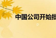 中国公司开始批量生产本地DRAM