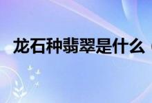 龙石种翡翠是什么（翡翠品种中顶级品种）