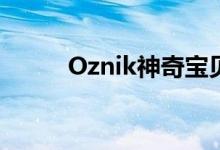 Oznik神奇宝贝之旅介绍《热沙》