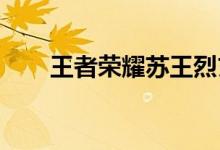 王者荣耀苏王烈玄武智慧皮肤效果展
