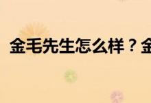 金毛先生怎么样？金先生全图属性图集介绍