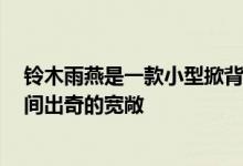 铃木雨燕是一款小型掀背车 配备一些经济型发动机 内部空间出奇的宽敞