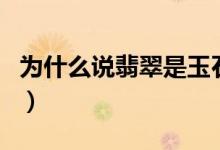 为什么说翡翠是玉石之冠（如何评价翡翠饰品）