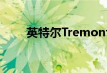 英特尔Tremont CPU的微体系结构
