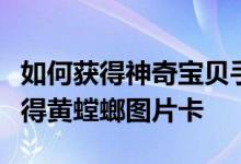 如何获得神奇宝贝手游的黄螳螂图片卡如何获得黄螳螂图片卡