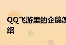 QQ飞游里的企鹅怎么样？企鹅幼体属性图介绍