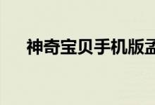 神奇宝贝手机版孟新增加一些流派推荐