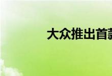 大众推出首款SUV 原厂途锐
