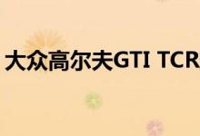 大众高尔夫GTI TCR热衷于新hatch本土车队