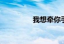 我想牵你手的歌是什么？