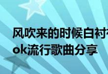 风吹来的时候白衬衫的裙子是什么歌？Tik Tok流行歌曲分享